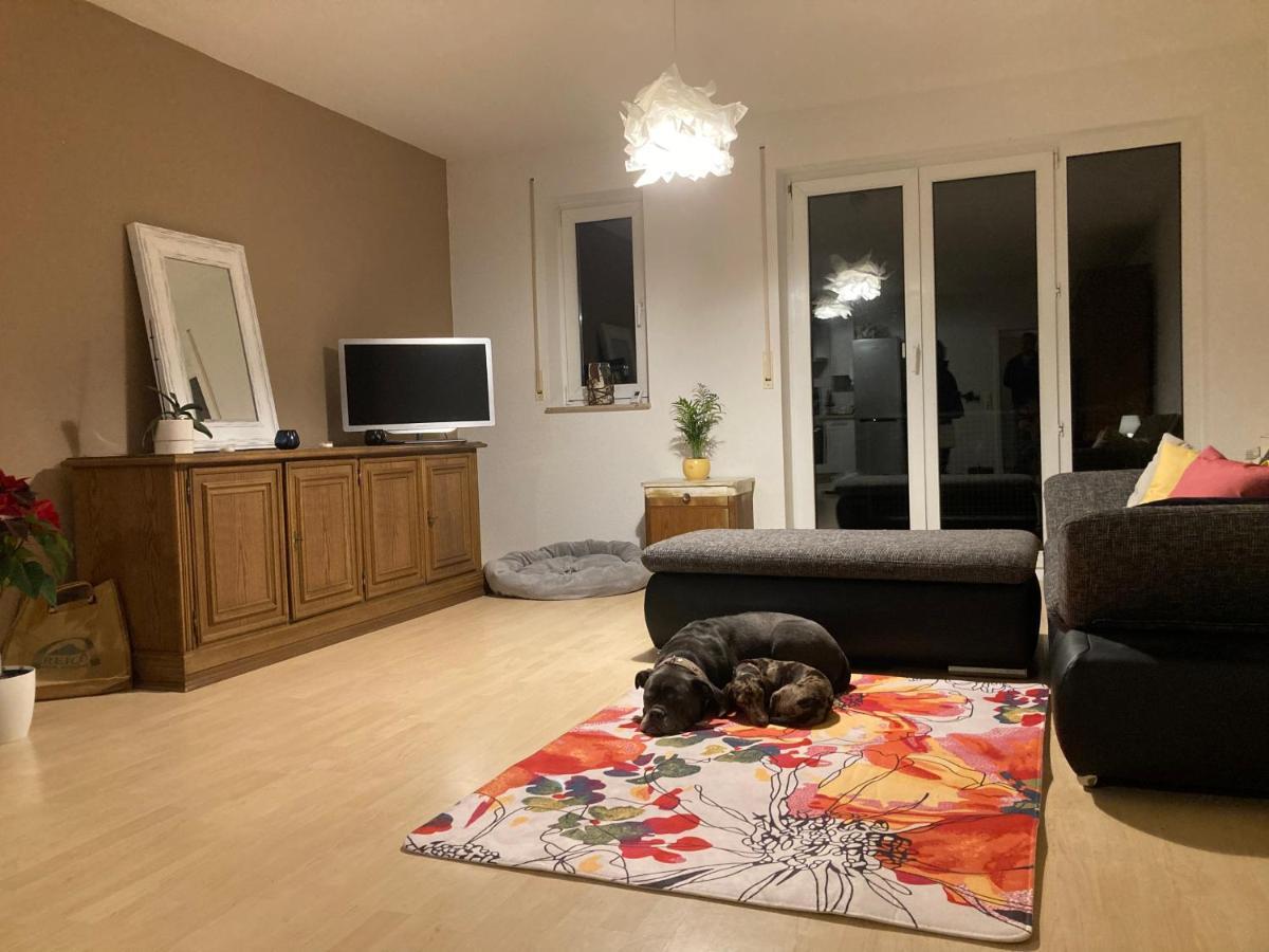 3 Zi Wohnung Haustiere Willkommen Im Markgraeflerland Dreilaendereck Schliengen Eksteriør bilde
